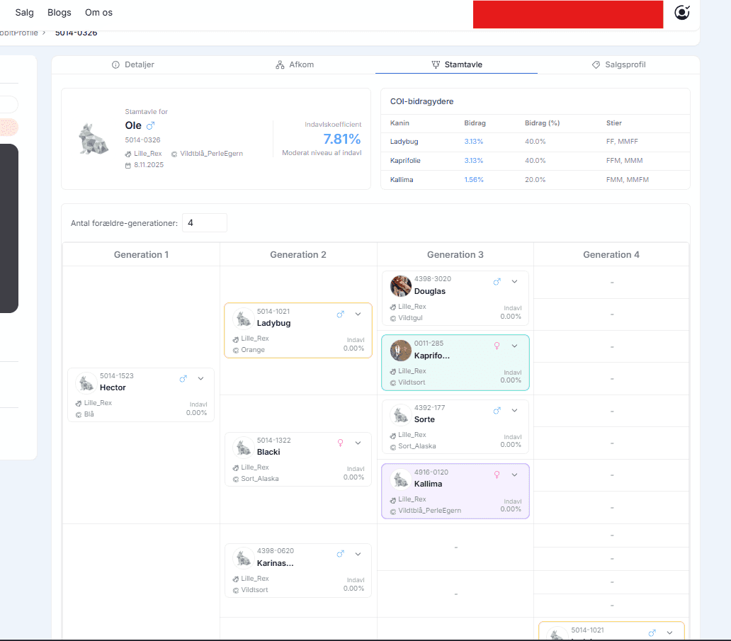 DB-Angora update v0.28